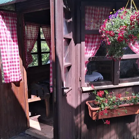 Apartamento Künstler 3 Küche Bad Zentrale Lage Wulsbuttel